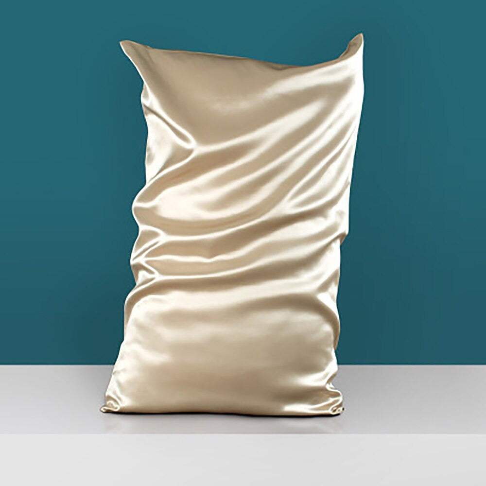 2 pcs Mulberry Silk Pillow Cases in Various Colors