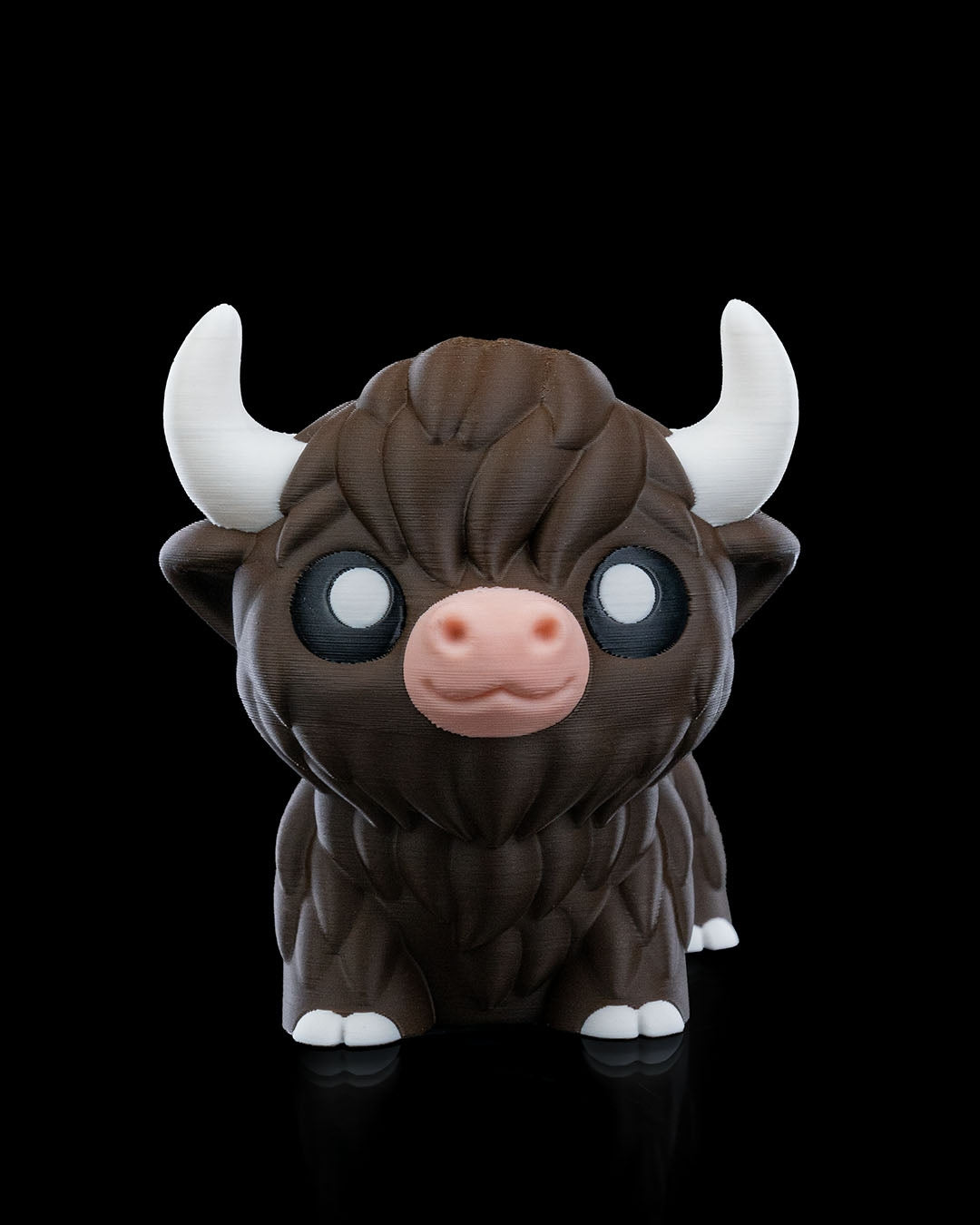 Bill the Highland Cow