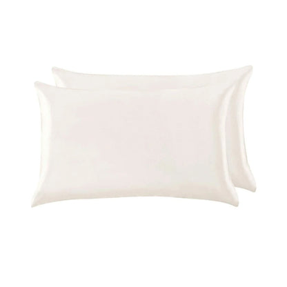 2 pcs Mulberry Silk Pillow Cases in Various Colors