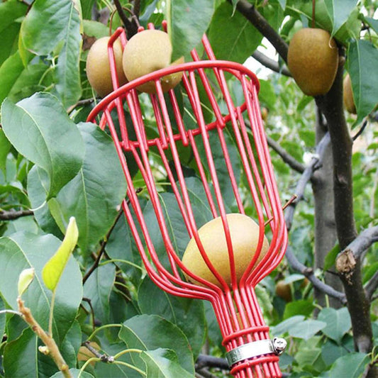 Easy-Pick Fruit Harvester Tool for Orchard and Garden_0
