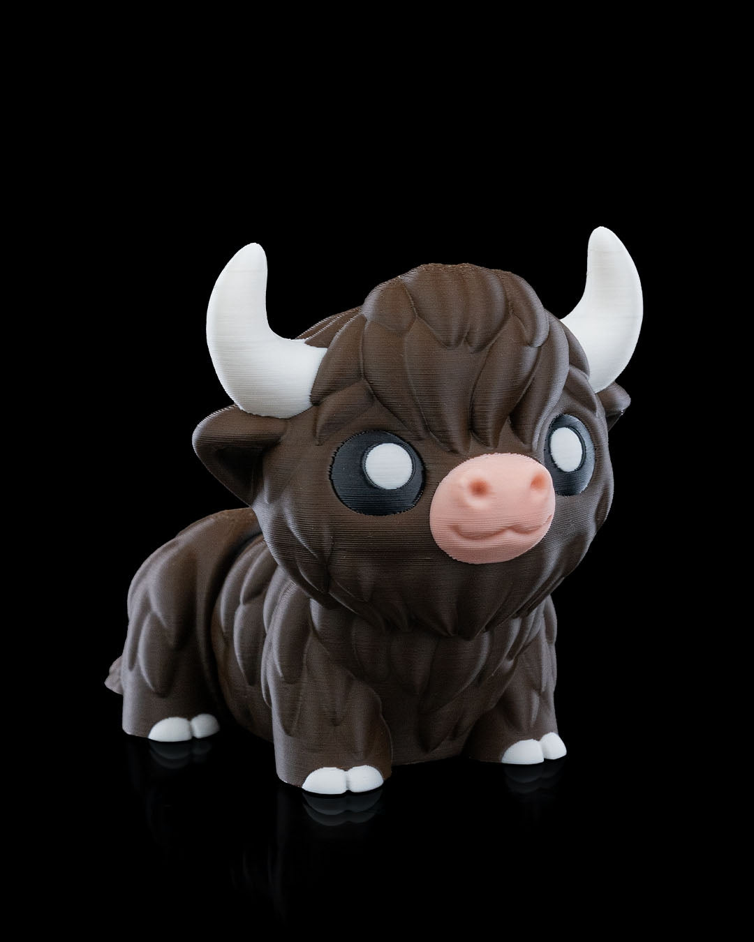 Bill the Highland Cow