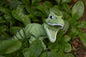 3d Printed Flexi T-Rex Dinosaur